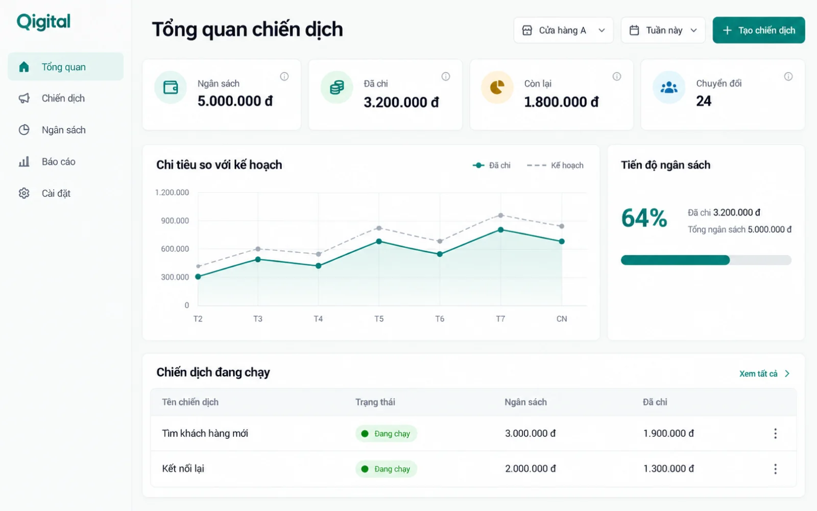 Campaign overview: budget, spend against plan and the list of campaigns.